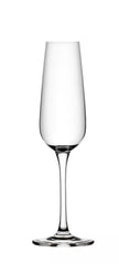 Mississippi Champagne Flute 210ml (BOX OF 36)